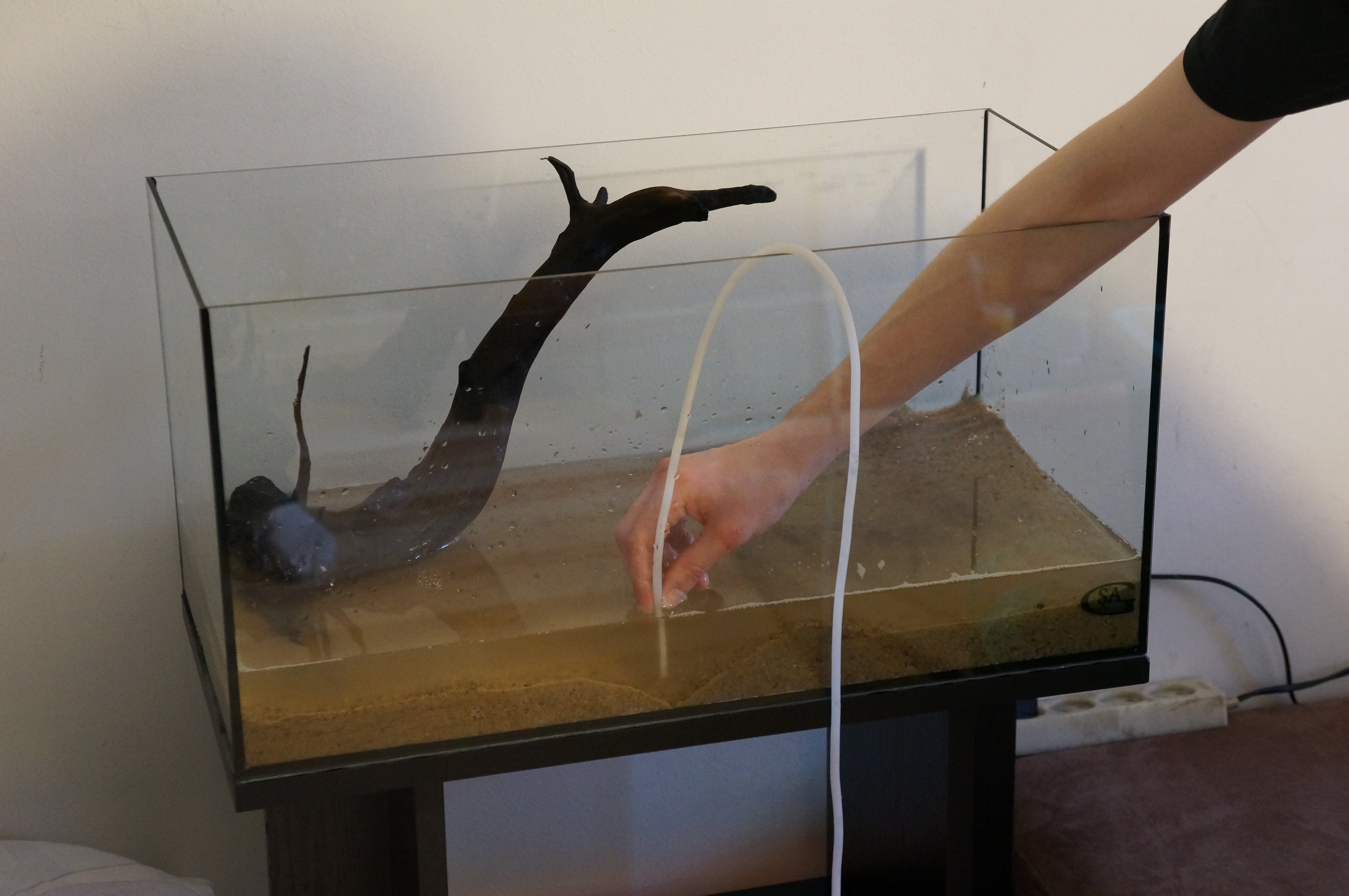 Jeżeli woda jest zabrudzona możemy ją delikatnie odessać wężykiem