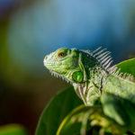 egzotarium-lublin