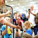 2048-DSC_0279_fot_Robert_Pikul