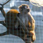 zoopark2018_58