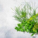 Fresh Dill  and Parsley leaves, florets, fruits atop grey textur