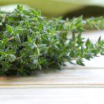 herb-thyme-PTQELY5
