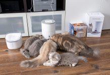 Petoneer Nutri Vision MINI: Inteligentny podajnik karmy dla zwierzaków (recenzja)