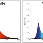 9894962600_1368651822